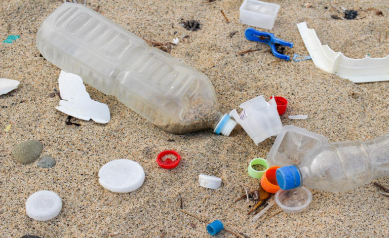 海洋におけるプラスチックの脅威