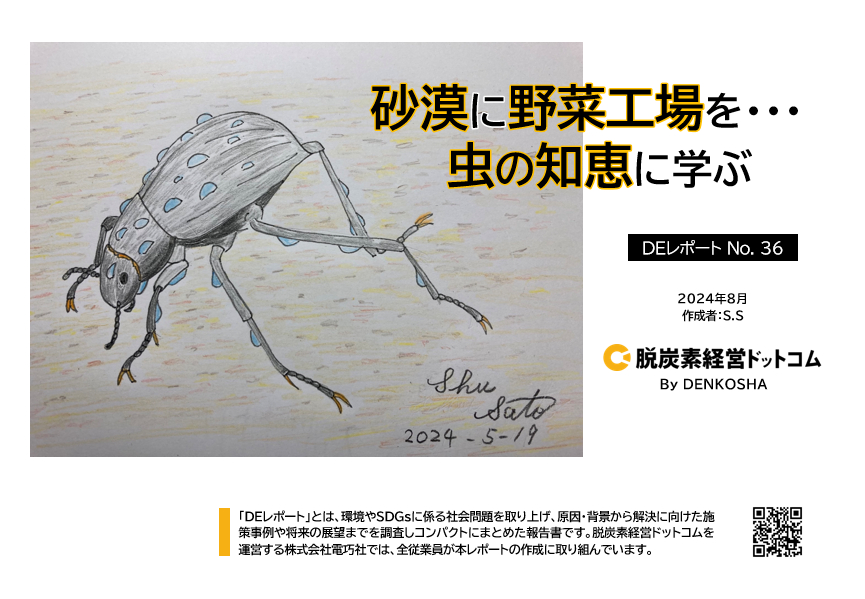 DEレポートNo.36「砂漠に野菜工場を・・・ ~虫の知恵に学ぶ~」