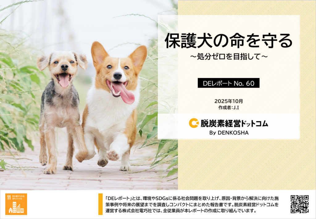 DEレポートNo.60「保護犬の命を守る～ 処分ゼロを目指して～」