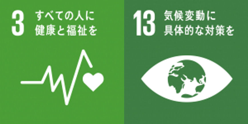 SDGs目標3-13