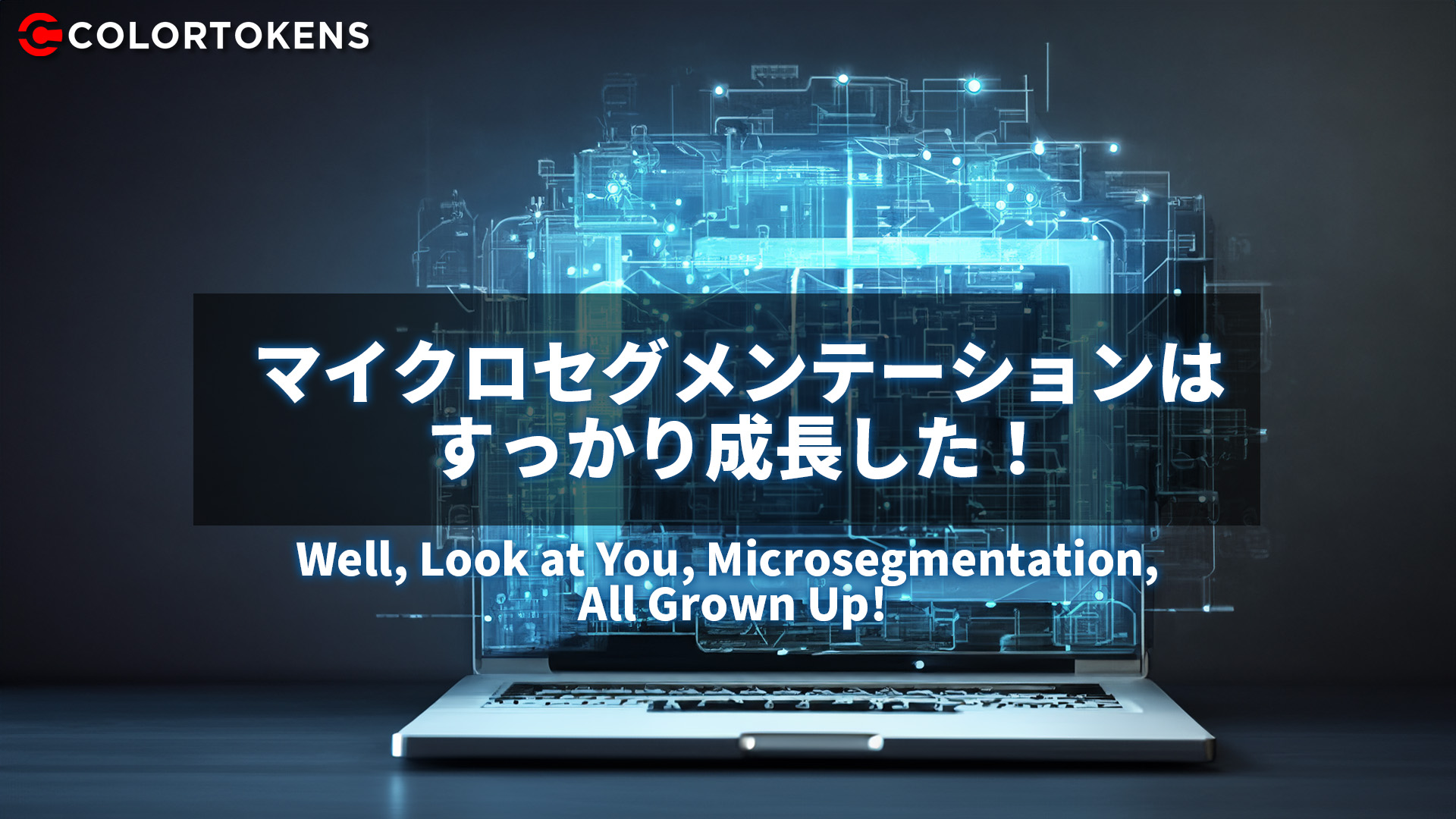 マイクロセグメンテーションはすっかり成長した！
