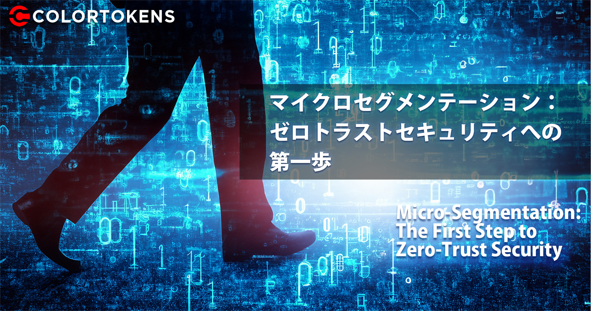 マイクロセグメンテーション:ゼロトラストセキュリティの第一歩