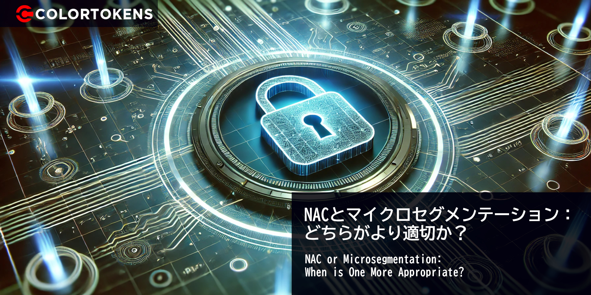 NACとマイクロセグメンテーション： どちらがより適切か？