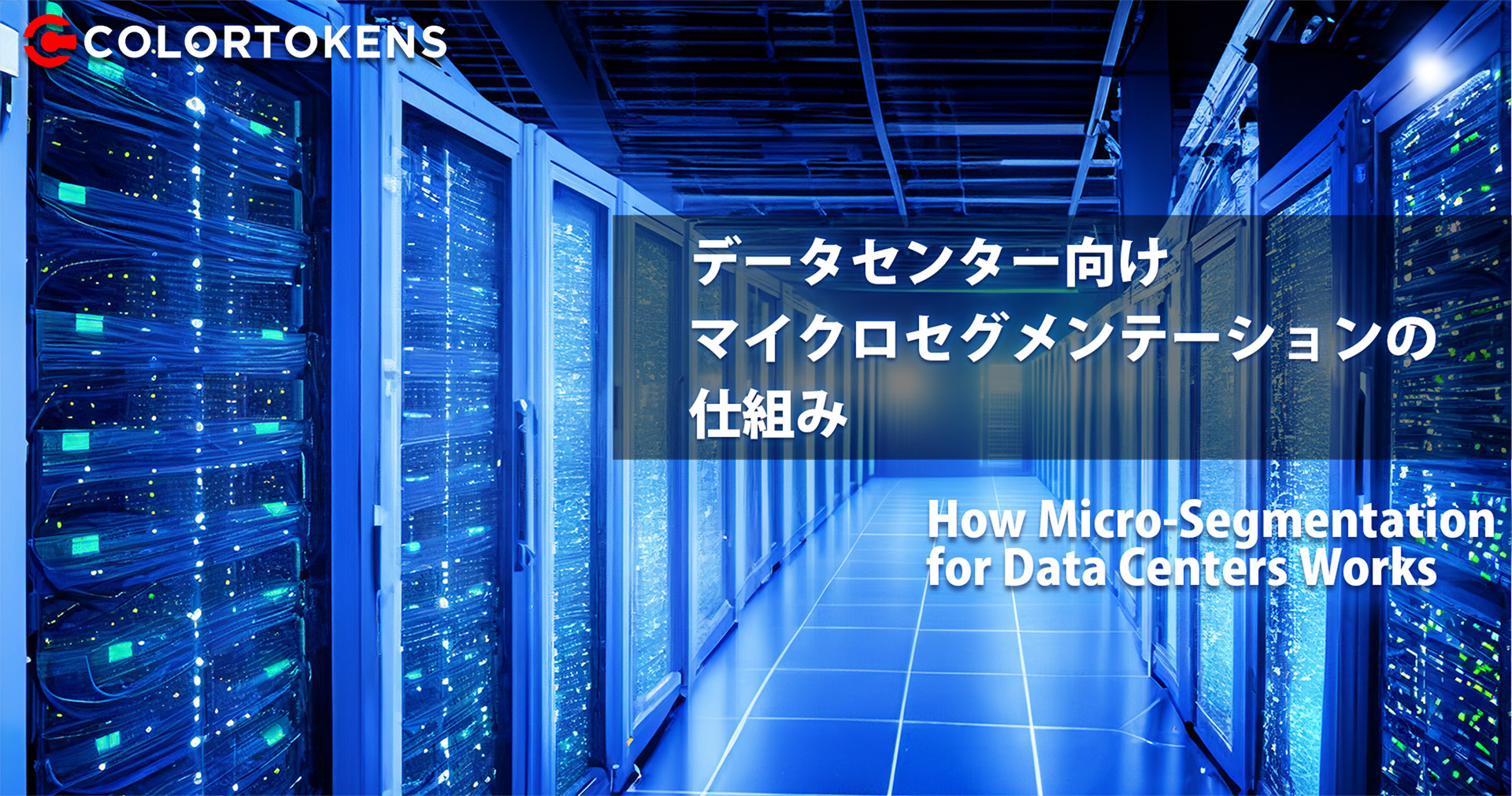 データセンター向けマイクロセグメンテーションの仕組み