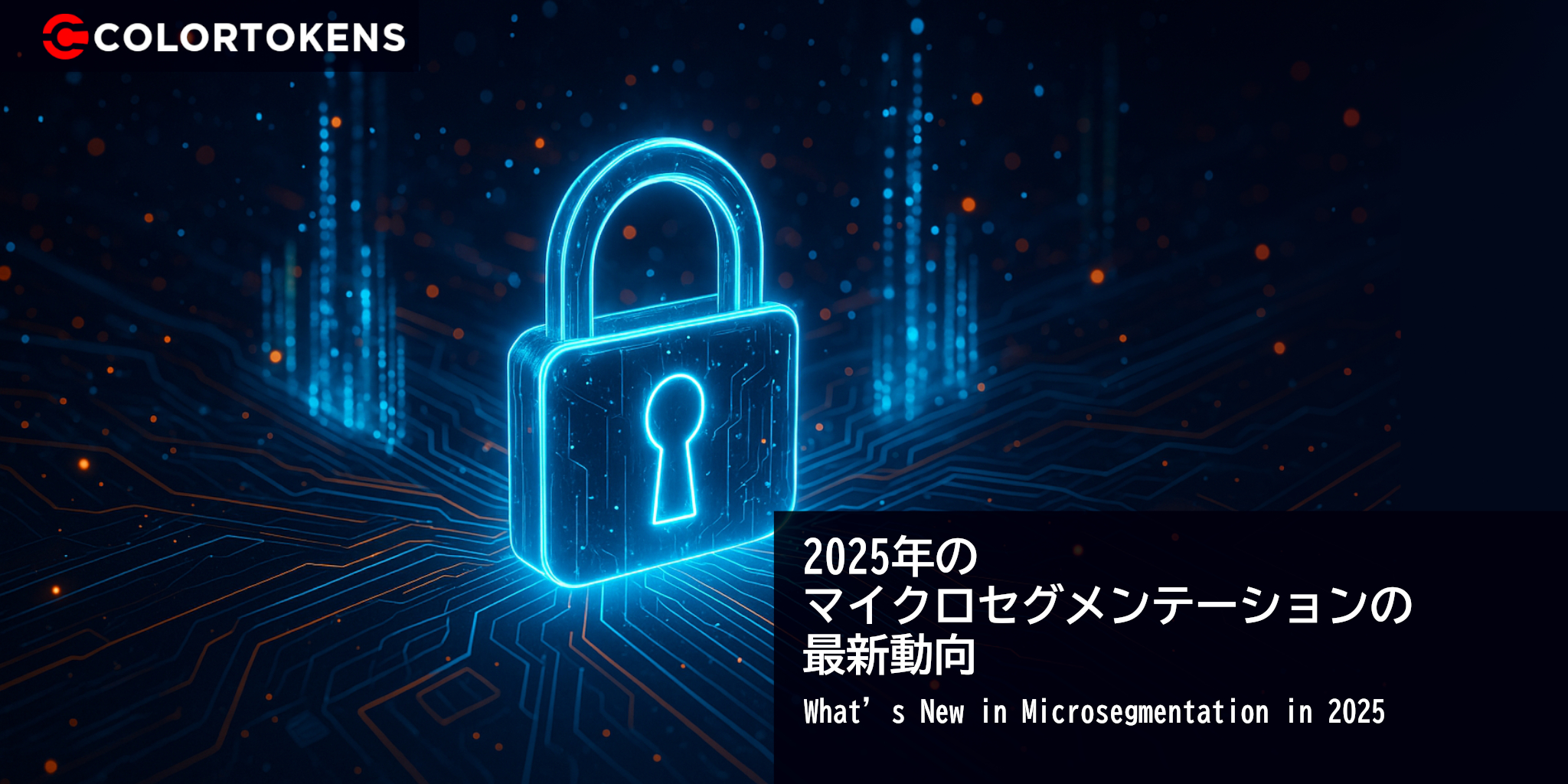 2025年のマイクロセグメンテーションの最新動向