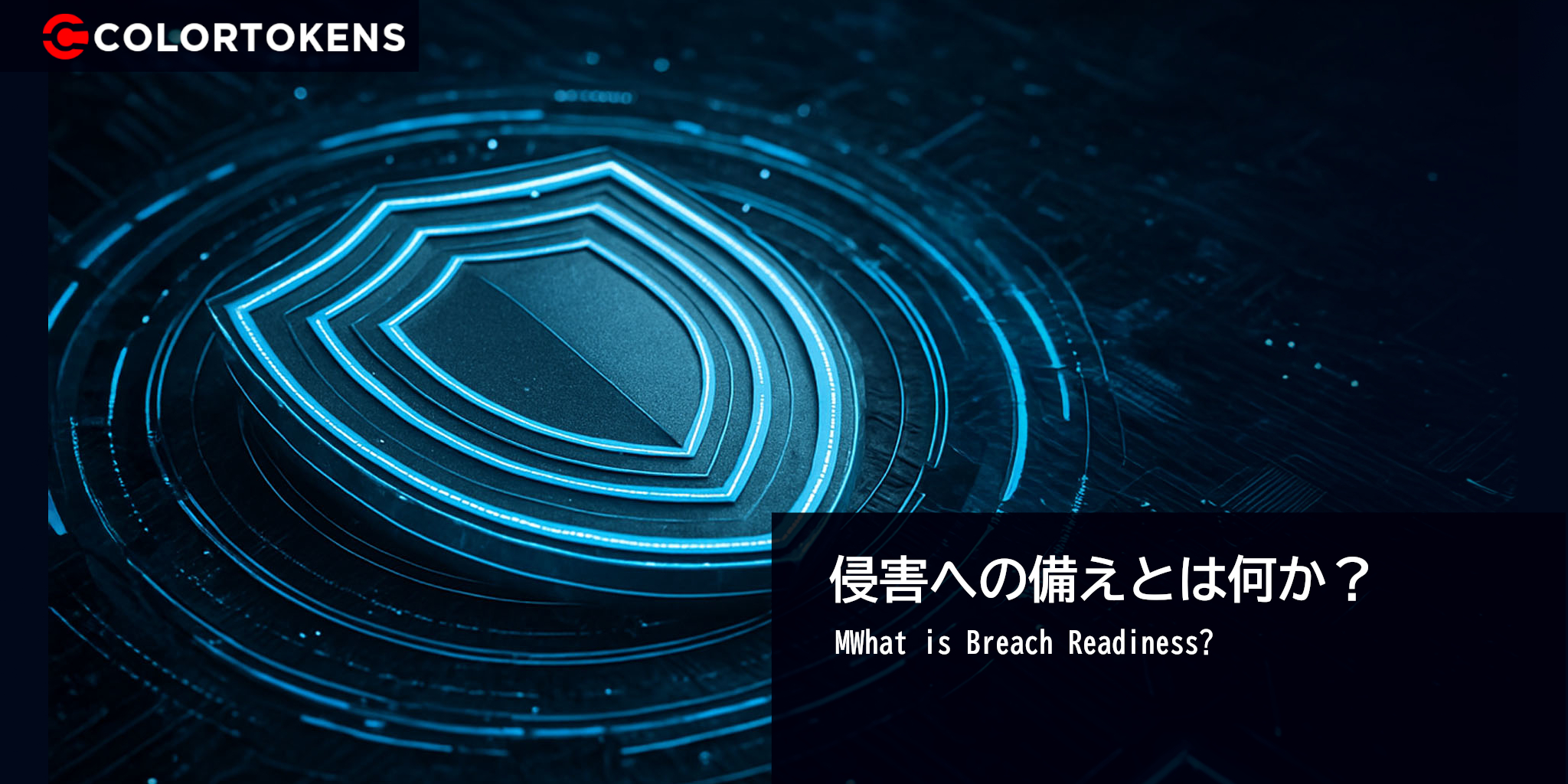 侵害への備えとは何か？