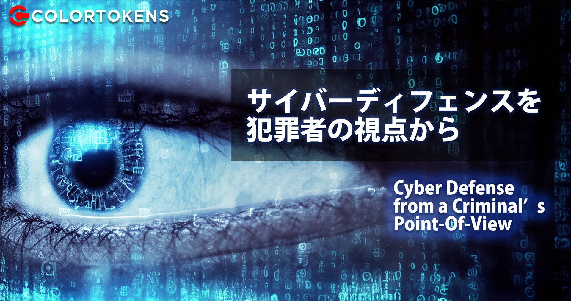 サイバーディフェンスを犯罪者の視点から解説