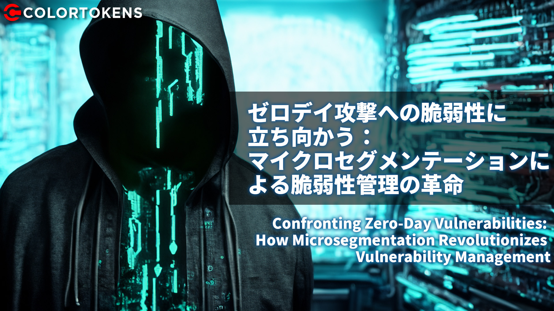 ゼロデイ攻撃への脆弱性に立ち向かう：マイクロセグメンテーションによる脆弱性管理の革命