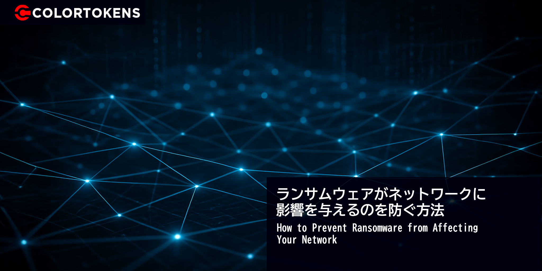 ランサムウェアがネットワークに影響を与えるのを防ぐ方法