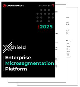ソリューションブリーフ
(日本語訳版)