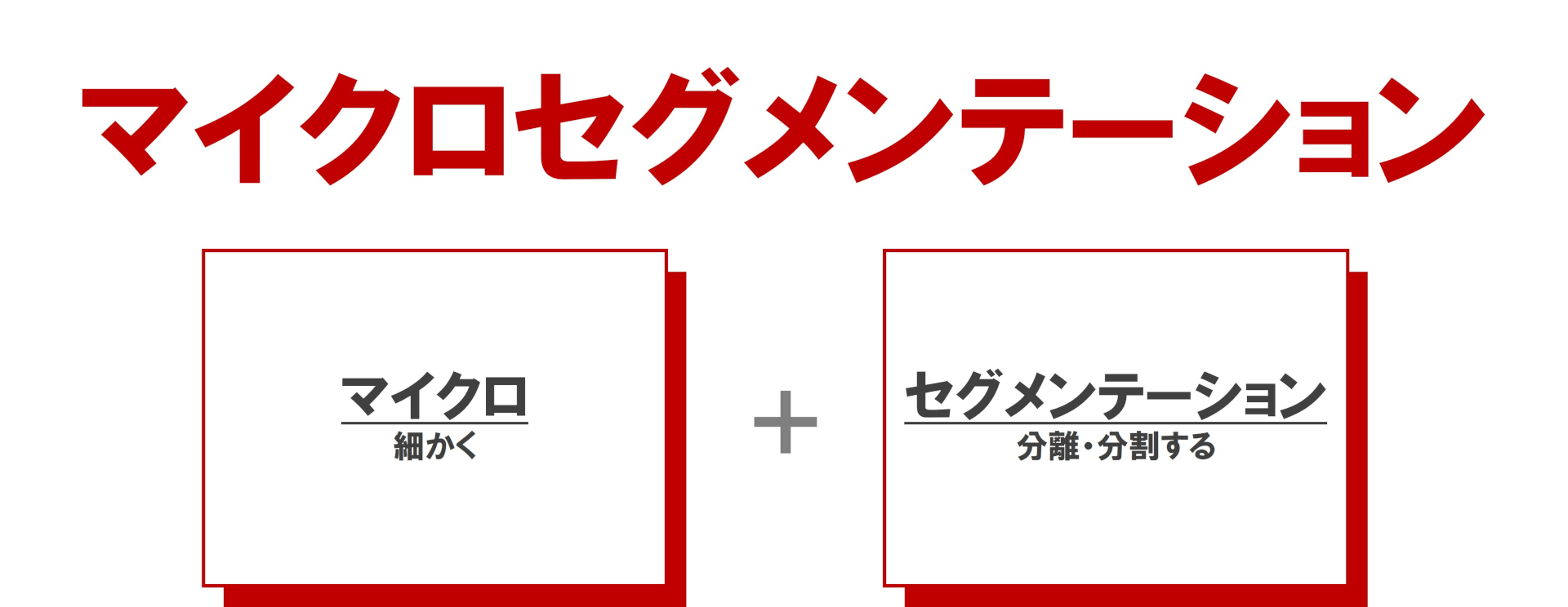 マイクロセグメンテーションの語源